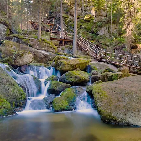 In Near Weinsberg Forest Altmelon