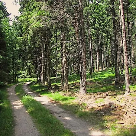 In Near Weinsberg Forest