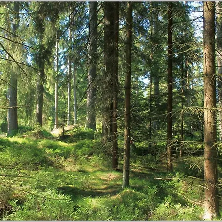 In Near Weinsberg Forest Prázdninový dům
