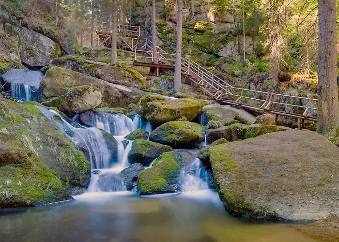 In Near Weinsberg Forest Altmelon