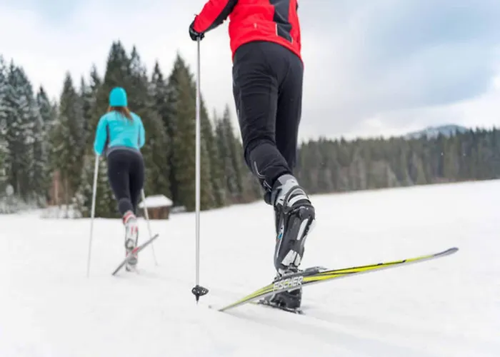 In Near Weinsberg Forest Сasa de vacaciones