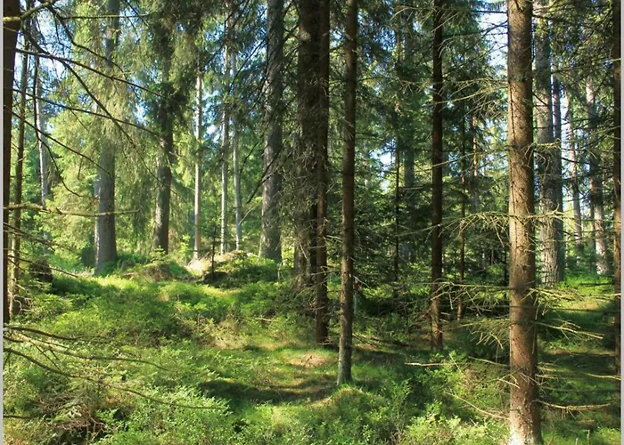 In Near Weinsberg Forest Сasa de vacaciones